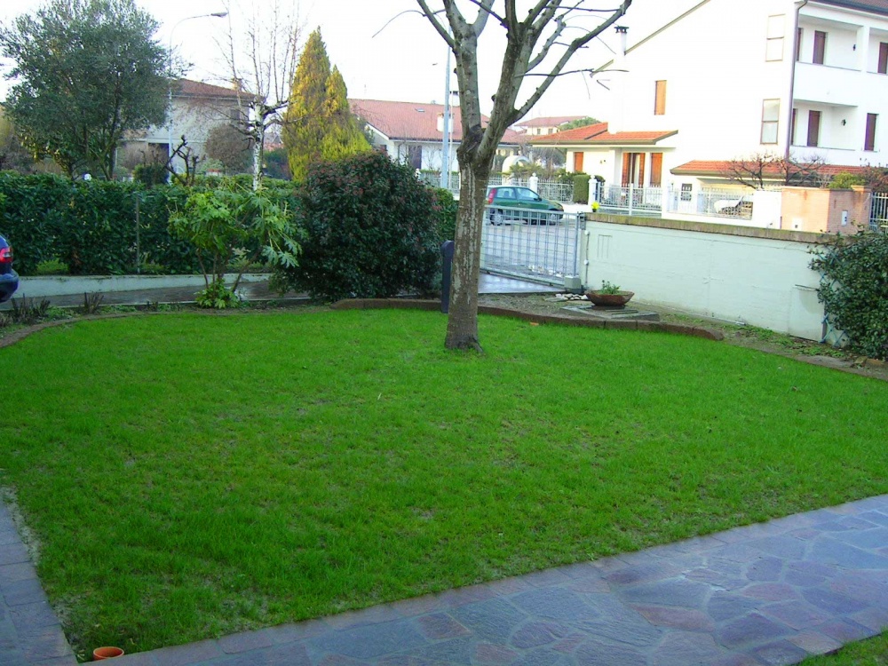 Cura del giardino